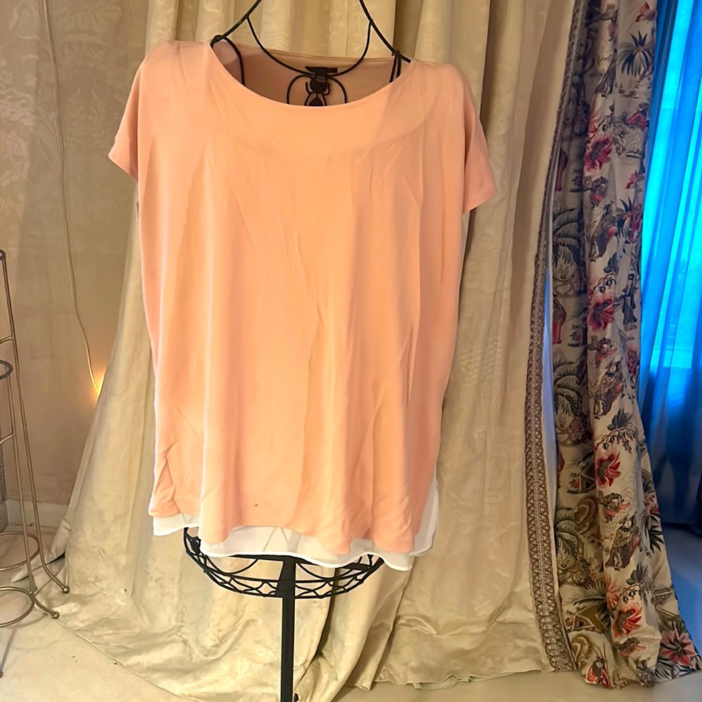 Ann Taylor